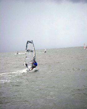 Waterloo cup (19)