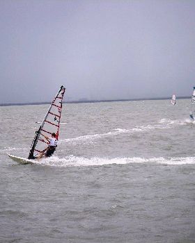 Waterloo cup (20)