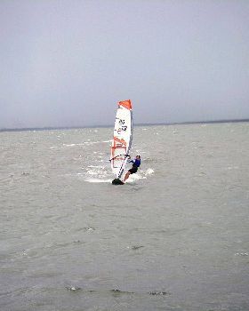 Waterloo cup (23)