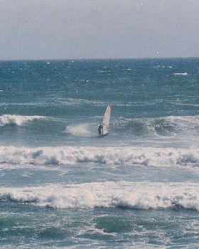 SURF