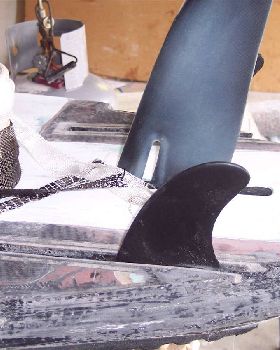 tri fins