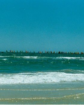 Windsurfing championships 1986