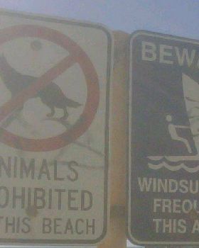watermans signs