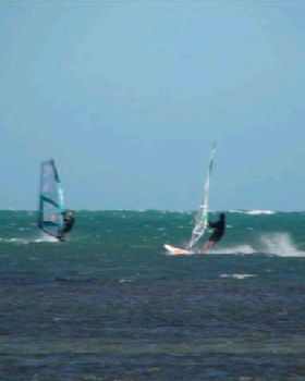 DSC02258 (Small)