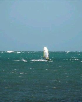DSC02265 (Small)