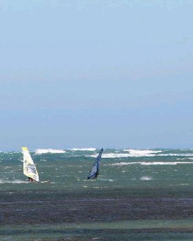 25+knot SE