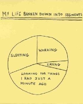 segments
