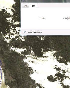 Henty NM