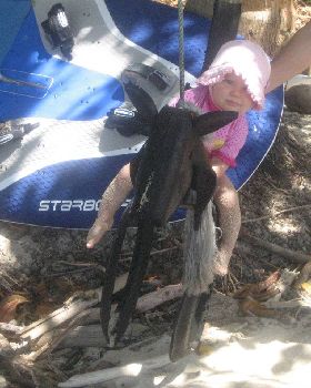 fiji 08