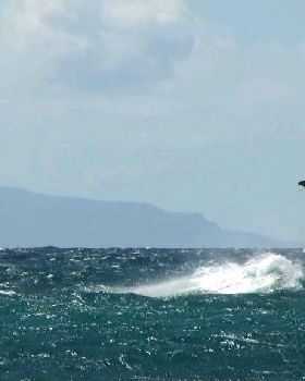maui the past week