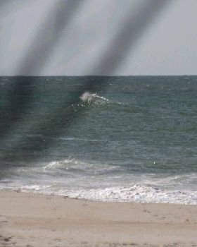 WindWanderers Meet