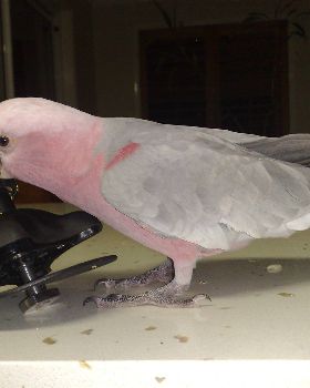 Finished item meets quality control