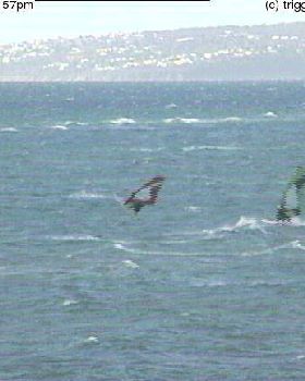 rye17062010