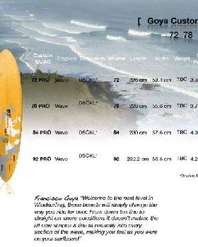 Goya 2011 Boards Custom Quad Pro 01