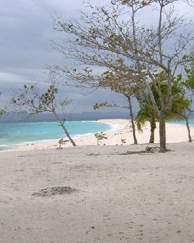 Cebu1