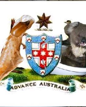 koala and termite