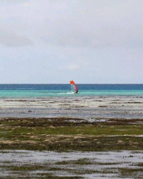 green island speed week day 4