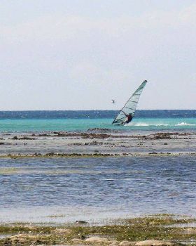 green island speed week day 4