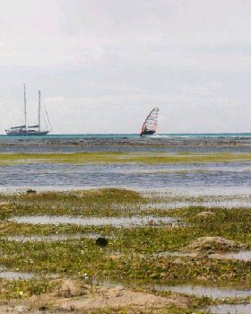green island speed week day 4