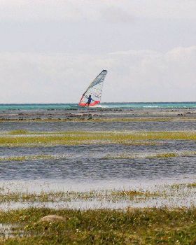 green island speed week day 4