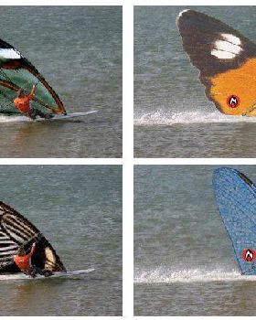 windyflys