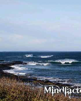 Gerroa - Wednesday 18 August - Main Break