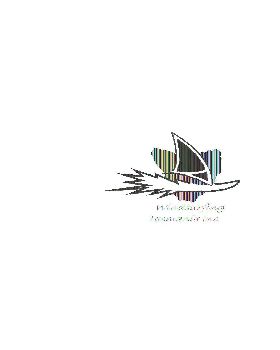 Windsurfing Tas rough copy