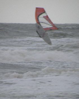dawn sema4