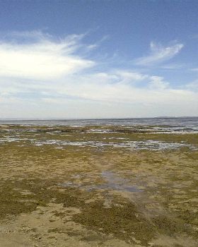 Limestone Reef