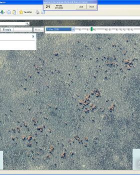 5m scale Hardies