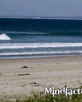 lonesome SUP in 2 foot slop