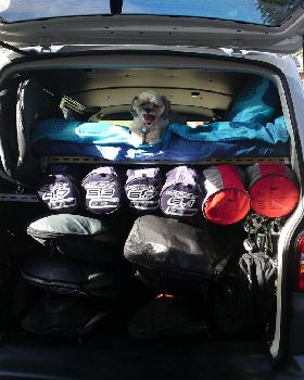 Back of van, hard to see but has 6x boards in board bags.