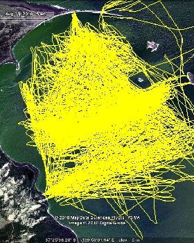 Lake George tracks this year.