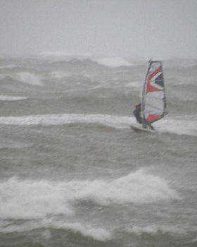 seacliff 4/9/10