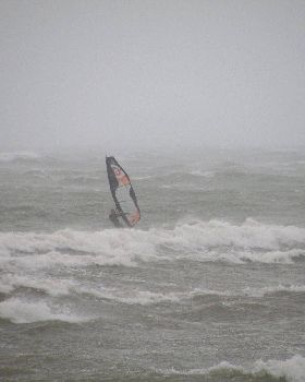 seacliff 4/9/10
