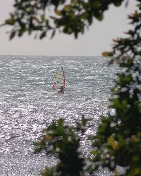 Early Jeri Season 2010