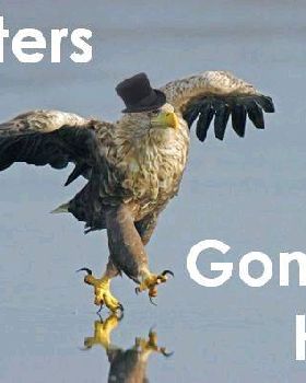 Eagle - Haters.JPG