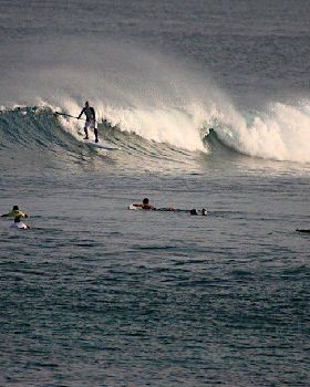 andrew on SUP. 2010