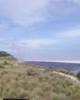 Henty Nov 2010