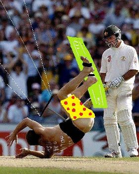 cricket2