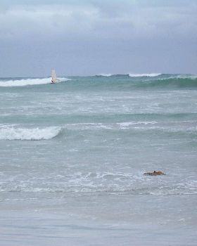 end of a long one, shorey heaving