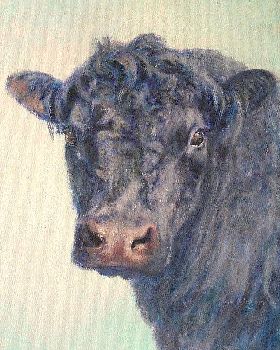 Latest commissions