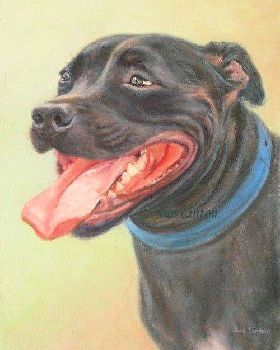 Latest commissions