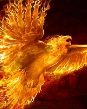 phoenix rising from the ashes