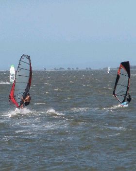 Windsurfing Dec 10 085A