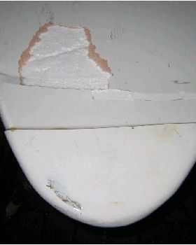nose