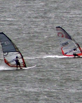 Moreton Bay Mob