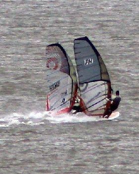 Moreton Bay Mob