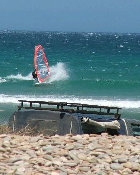 Ty cutback