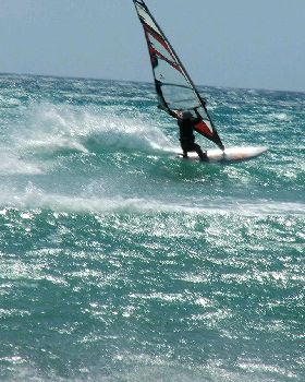 Richard cutback